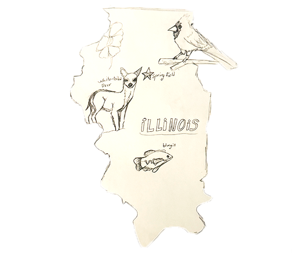 A child's drawing of Washington state including some mountain peaks, an apple tree and some evergreen trees